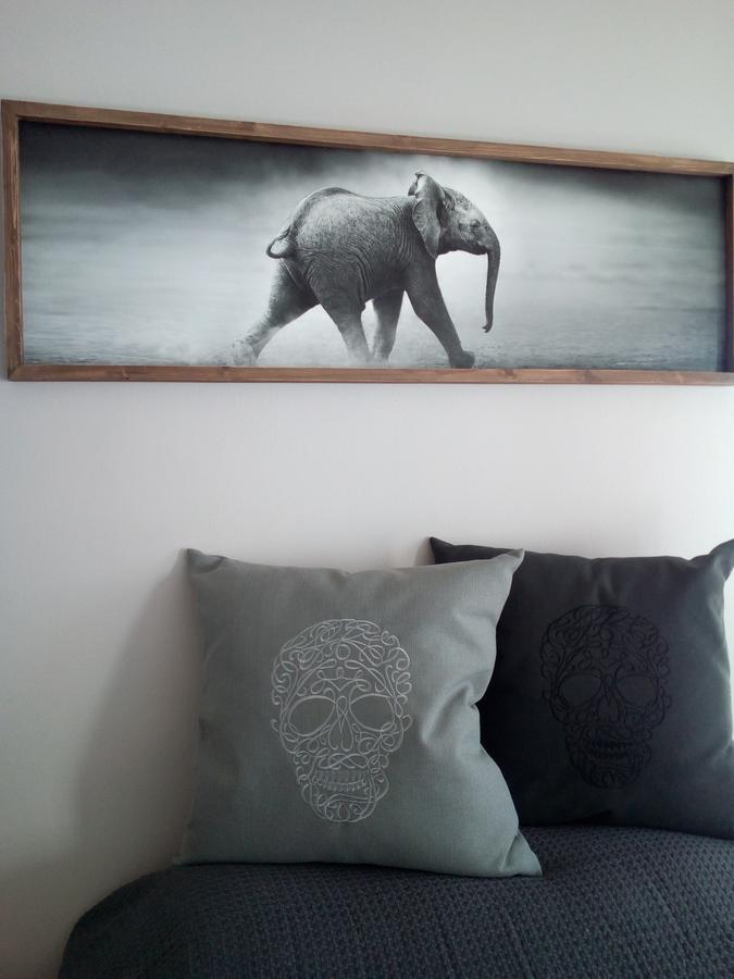 Tribal Concept Apartment Cape Town Exterior photo